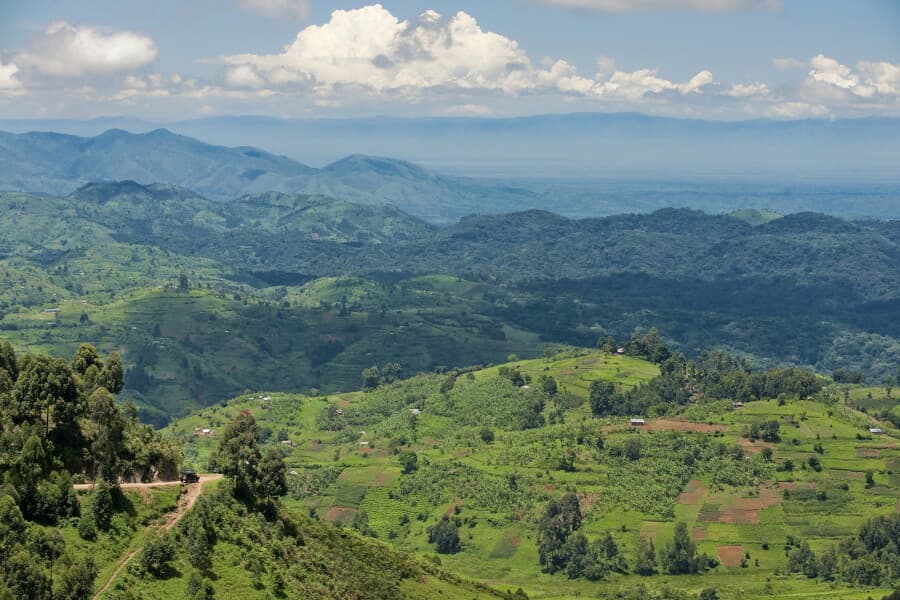Rwenzori Mountains landscape